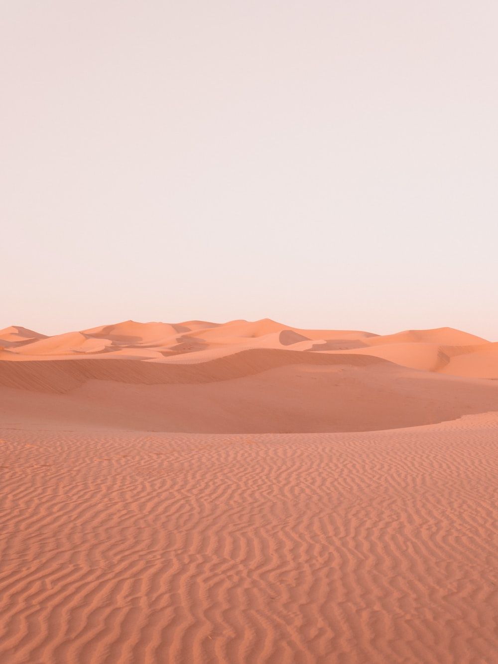 The desert is barren and empty, with no people or animals in sight. - Desert