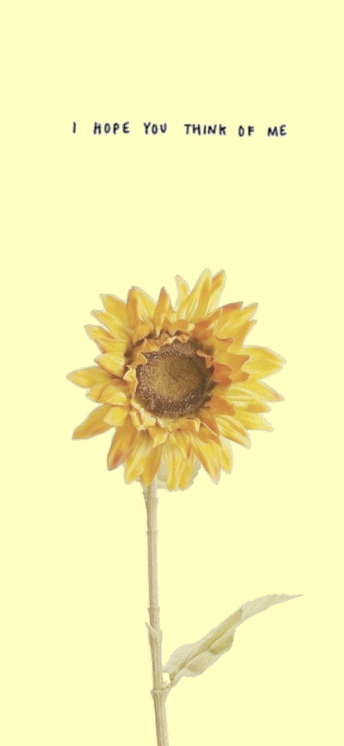 A sunflower with the words i hope you think of me - Yellow iphone