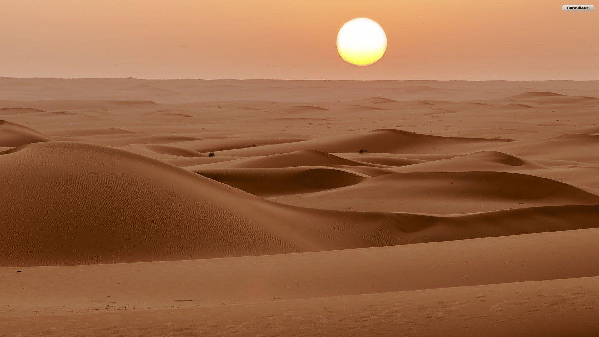 Sand dunes in the desert at sunset wallpaper - Nature wallpapers - #18381 - Desert