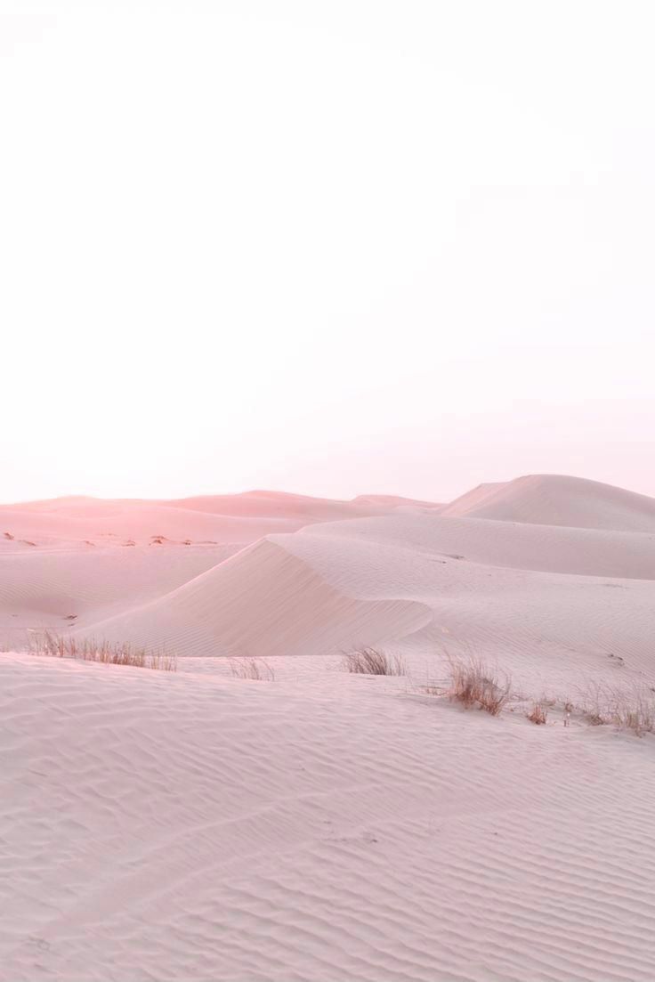 A sand dune in the desert with a pink tint from the sunset - Desert