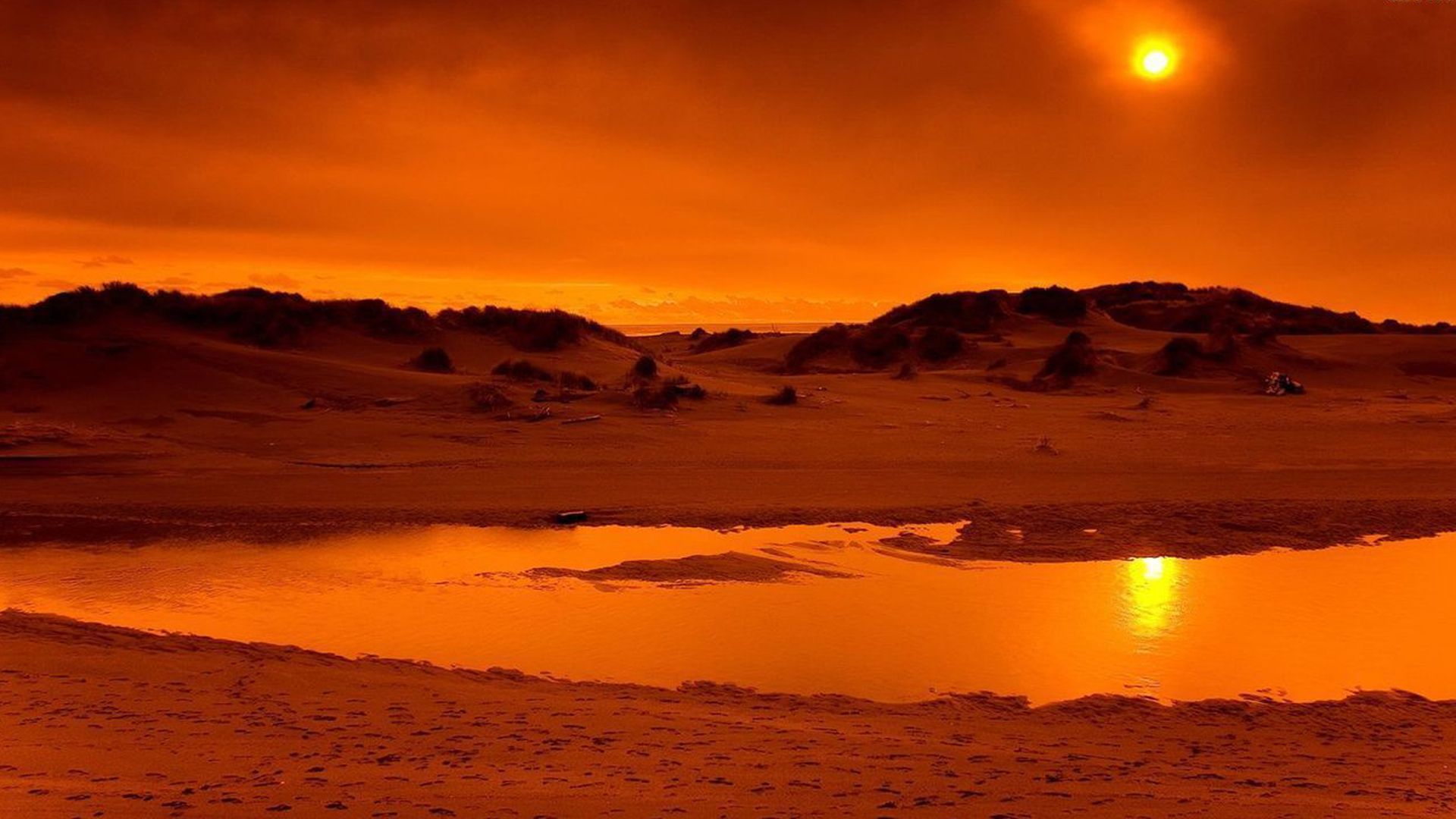 A sunset over a beach with sand dunes in the background - Orange, desert