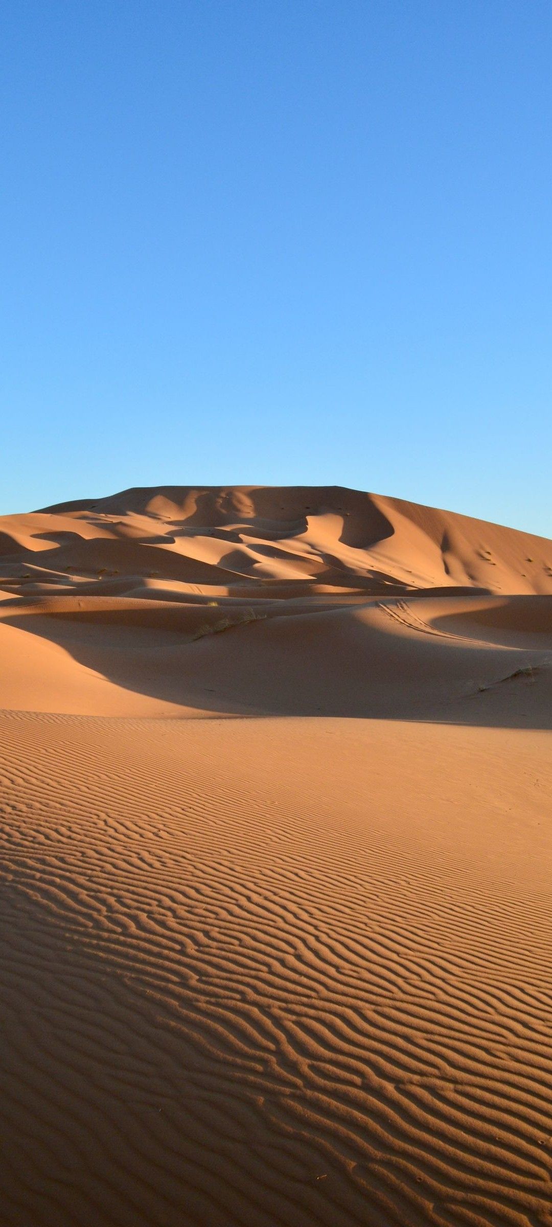 A desert with sand dunes and a blue sky - Desert