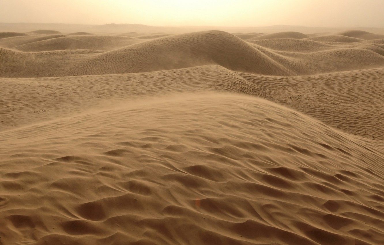 Sand dunes in the desert with the sun setting in the background - Desert