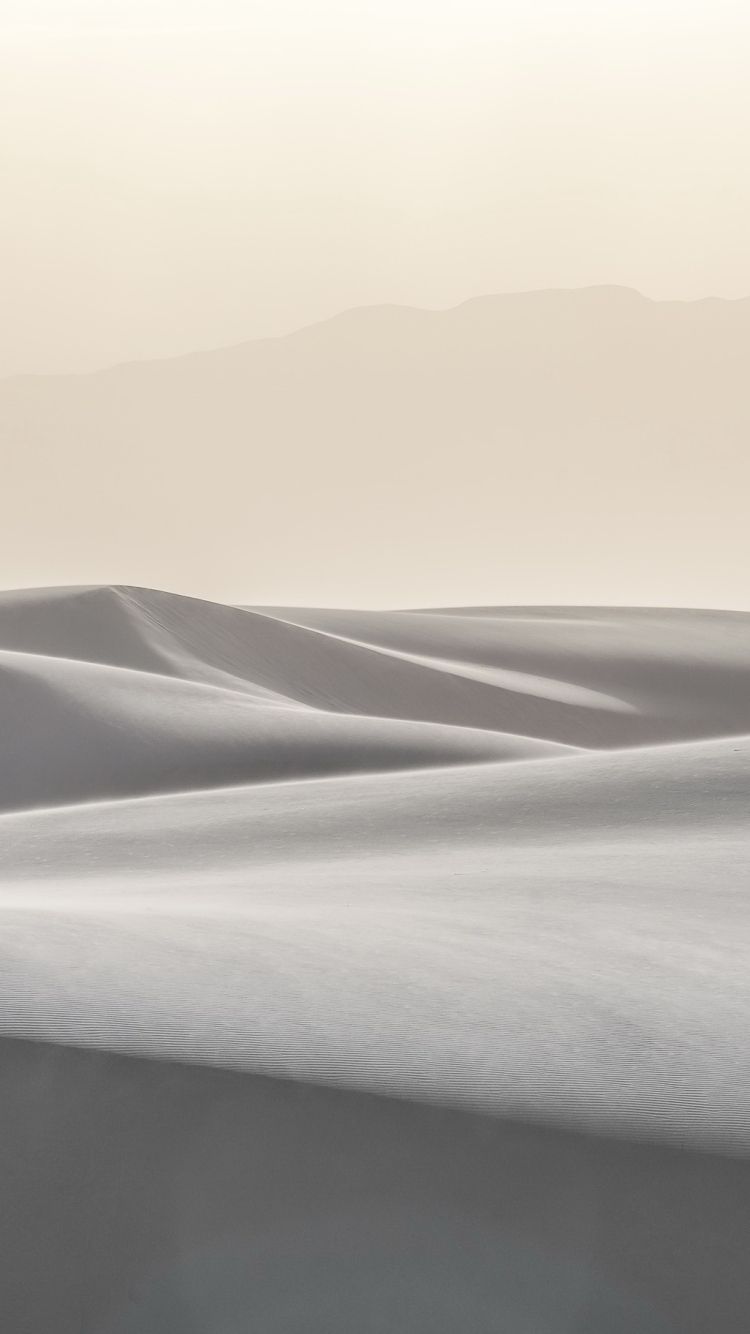 A man riding on horseback through the desert - Desert