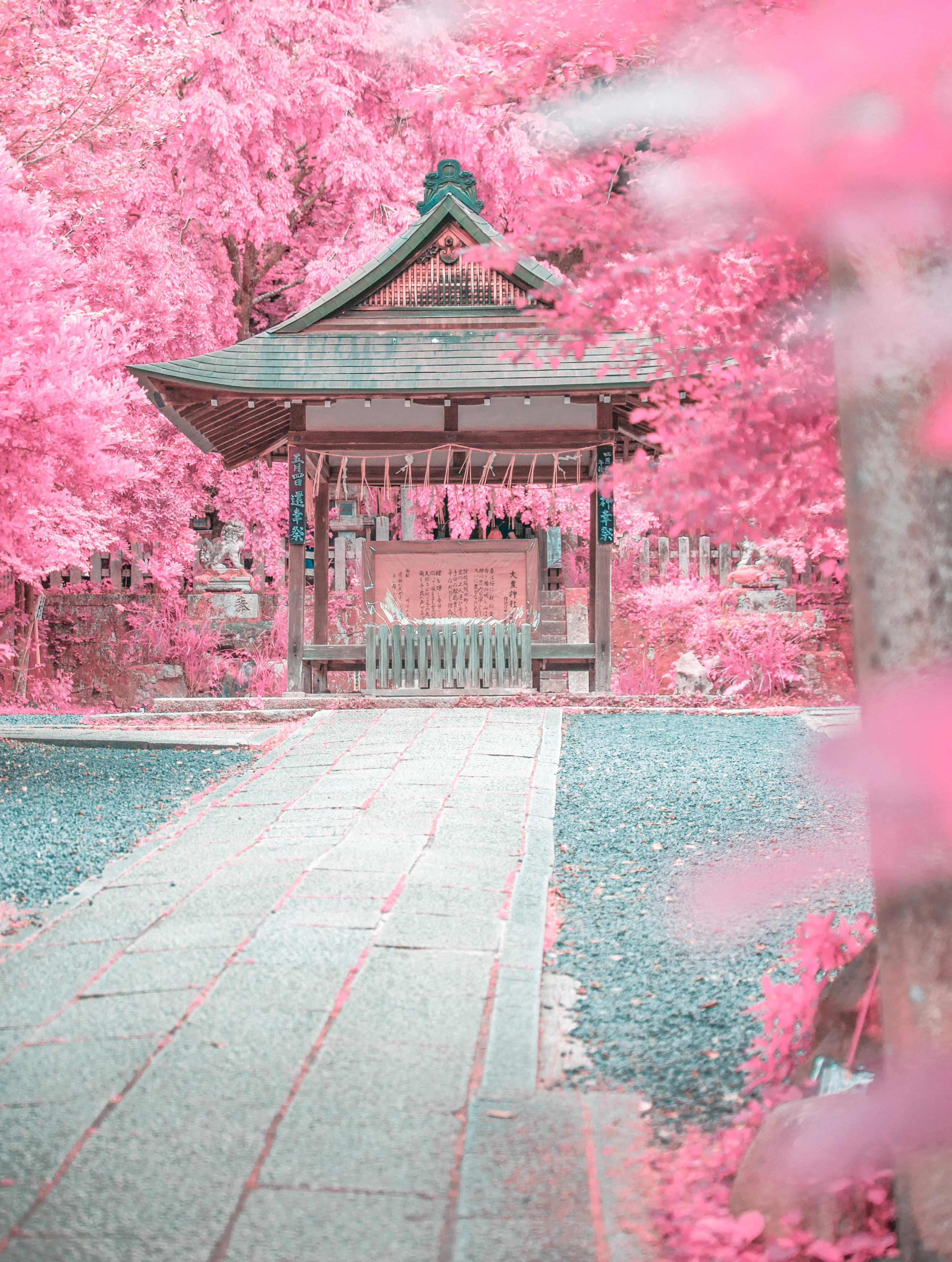 Download Pastel Japanese Aesthetic Of A Pink Garden Wallpaper
