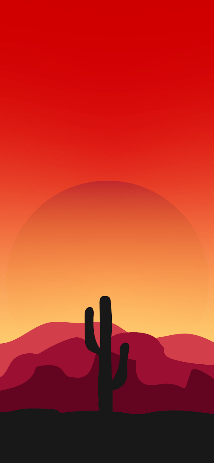 A cactus is in the desert at sunset - Desert