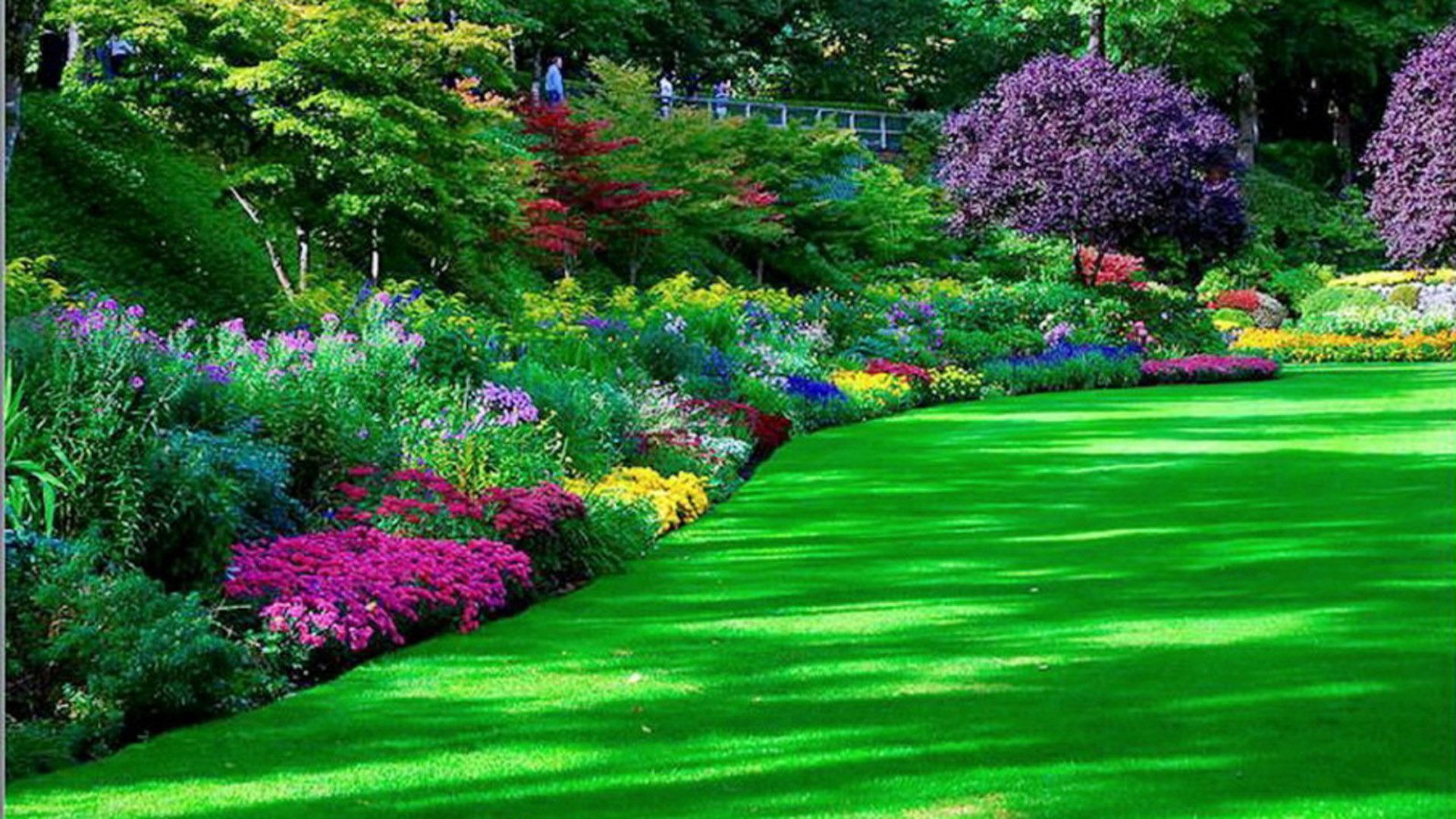 Colorful Flowers Green Grass Plants Trees Bushes Garden HD Green Aesthetic Wallpaper