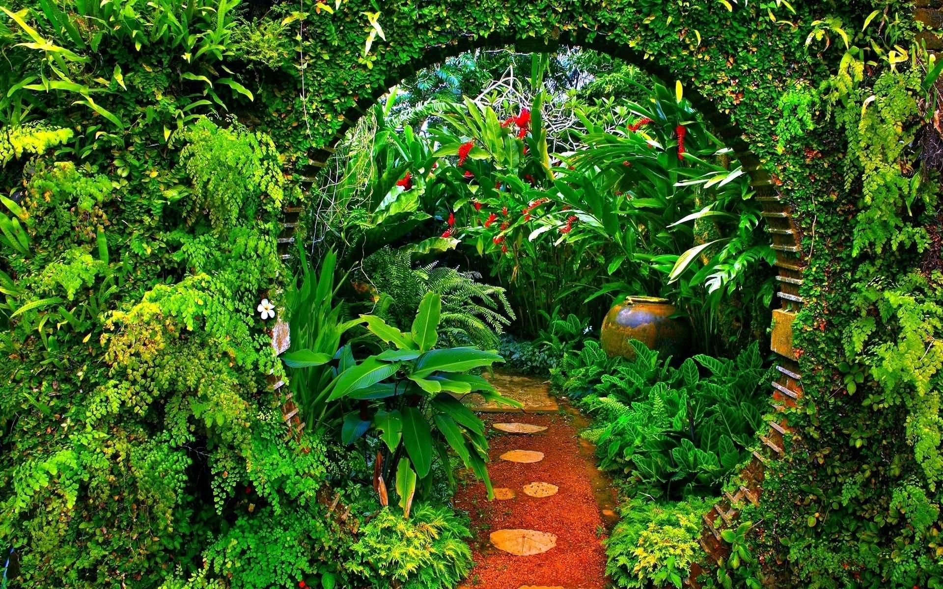 A garden with a brick path and a tunnel of plants - Garden