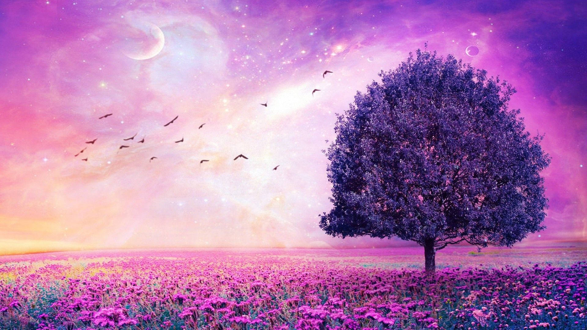 Download Violet Garden Eternal Galaxy Wallpaper