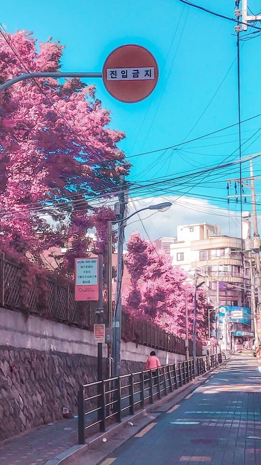 A street sign in a foreign language is displayed above a street with trees in bloom. - Anime city, Seoul, Korean