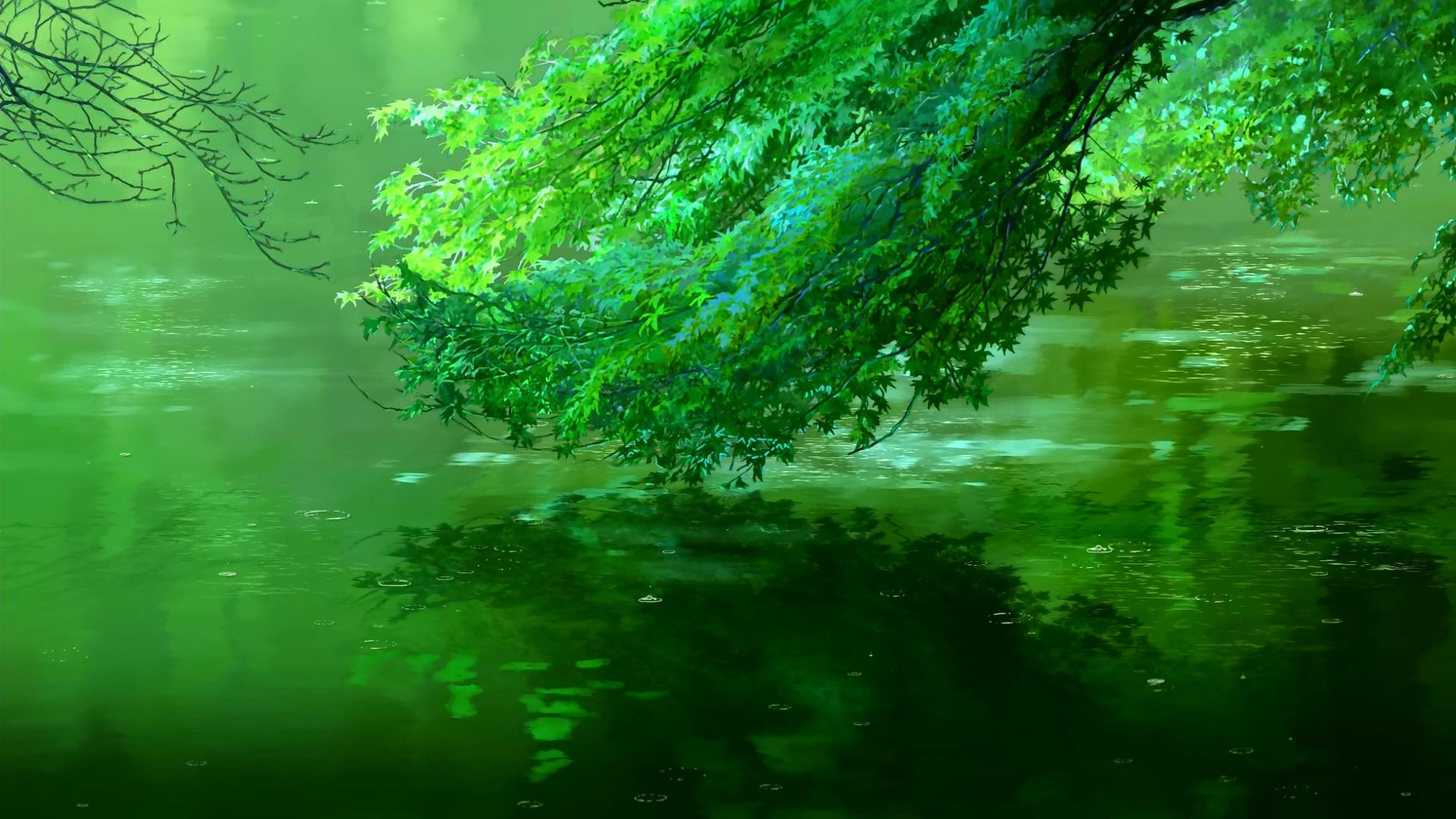 A green tree in the water - Garden