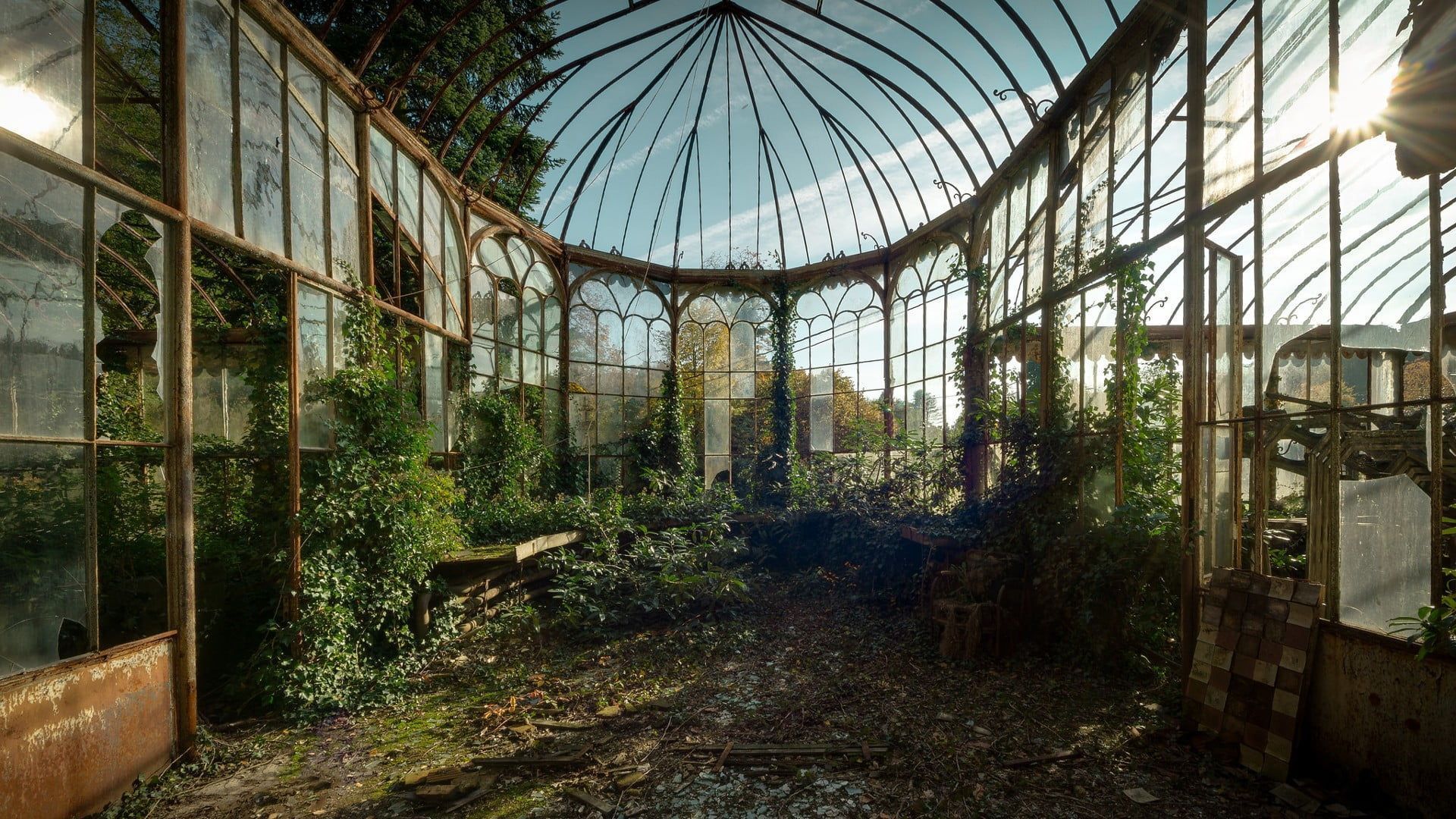 A greenhouse with plants growing inside of it - Garden