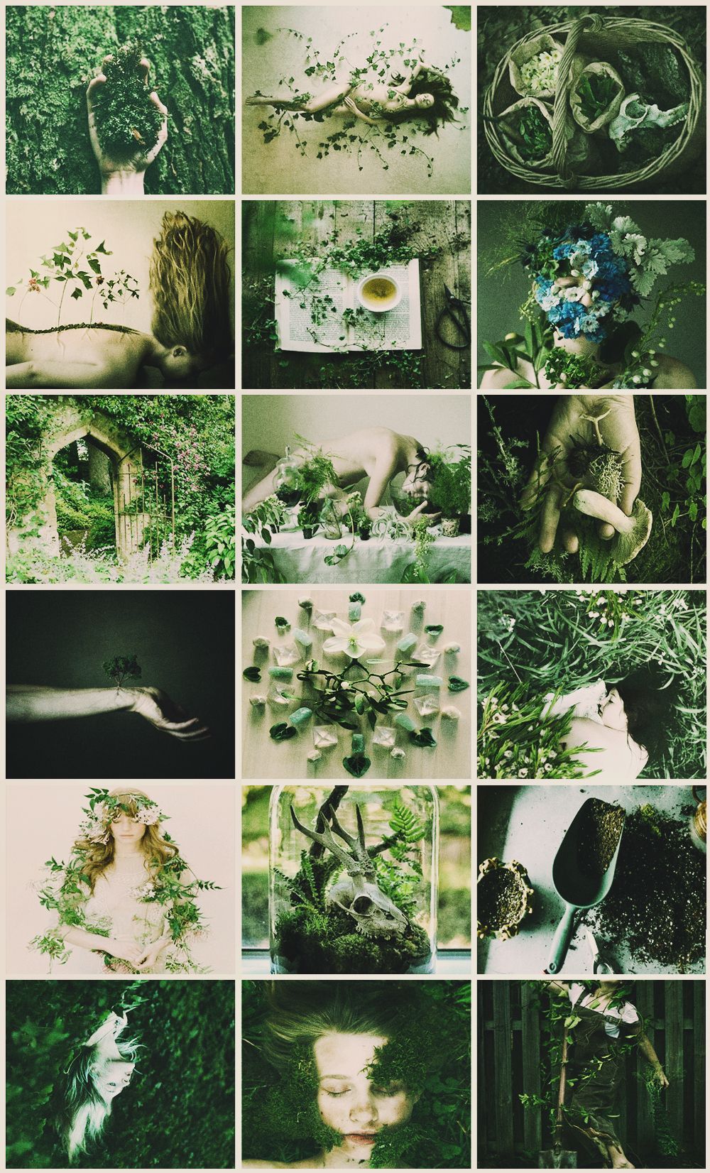 Aesthetic for a project I'm working on. All images are mine, unless otherwise credited. - Garden