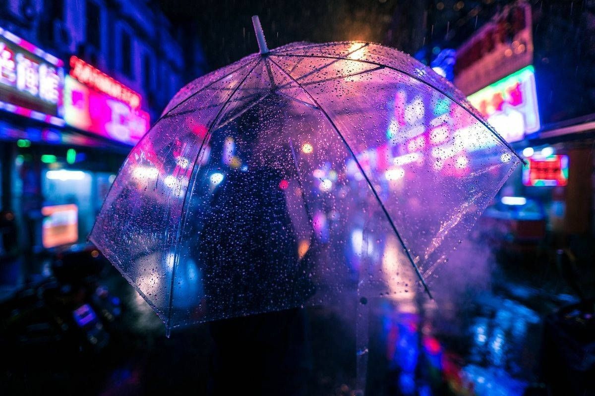 A person with a clear umbrella in the rain. - Indigo