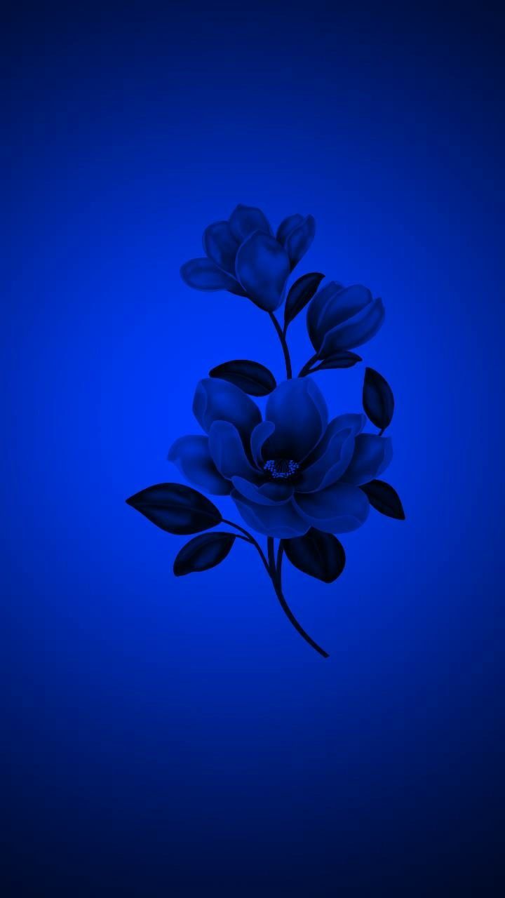 A blue flower on black background - Navy blue, indigo, dark blue