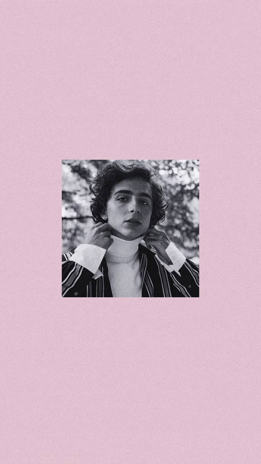 A person in black and white on pink background - Timothee Chalamet