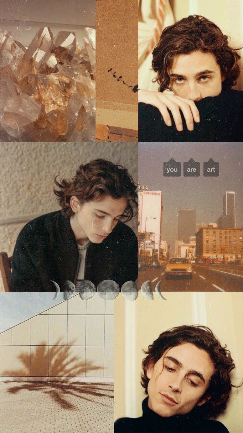 A collage of pictures with the same person in them - Timothee Chalamet