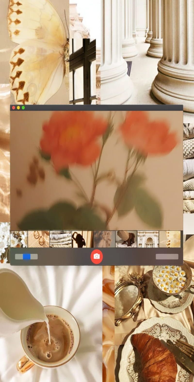 Vintage, aesthetic, flowers, happy, iphone, light academia, light brown, HD phone wallpaper