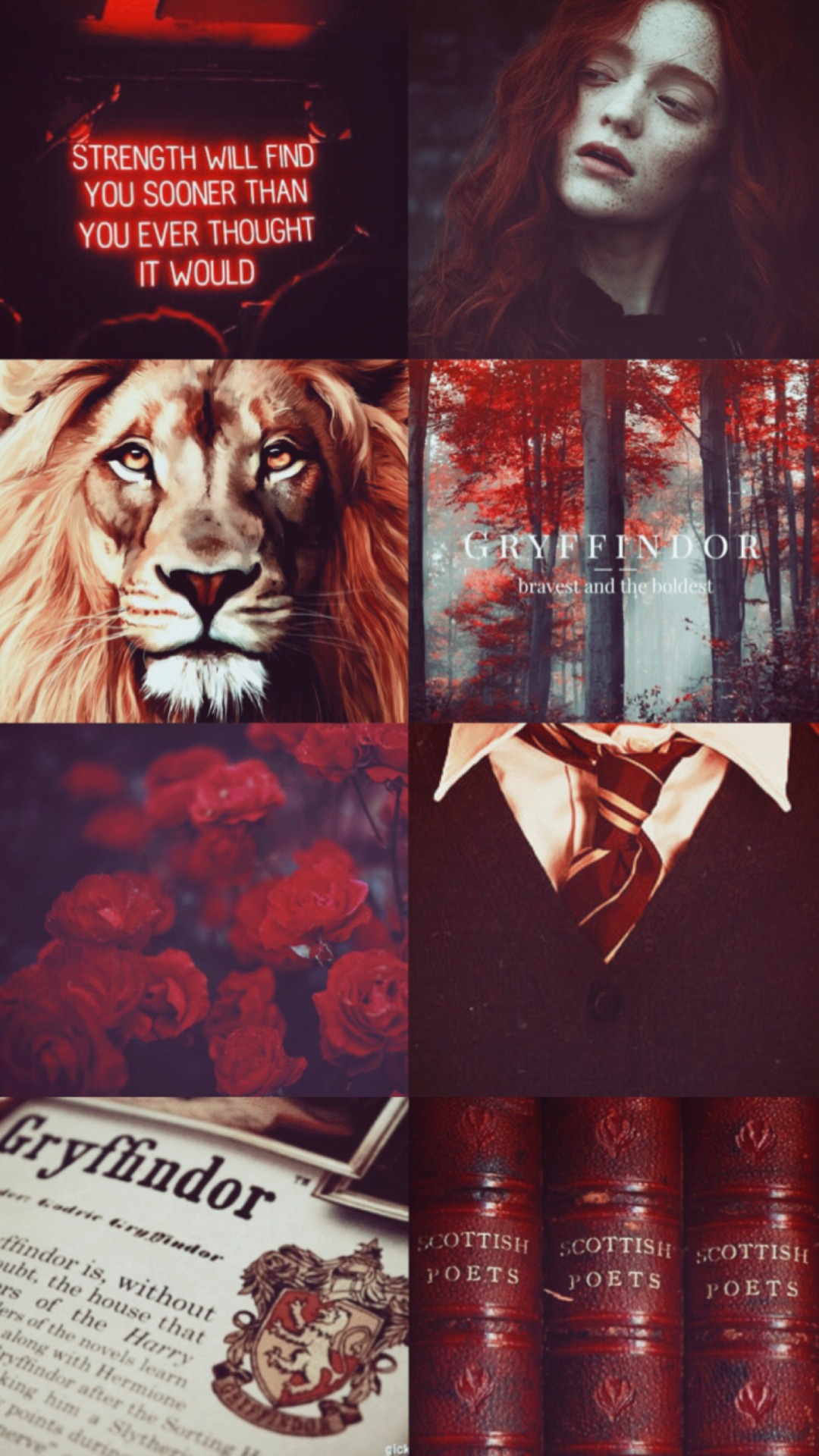 Aesthetic for Gryffindor, Hufflepuff, Ravenclaw, and Slytherin - Gryffindor