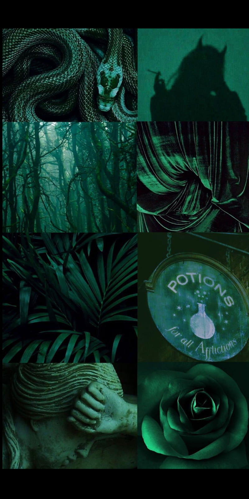 Aesthetic background of green with pictures of a snake, a forest, a spell book, a rose, and a silhouette of a castle. - Slytherin