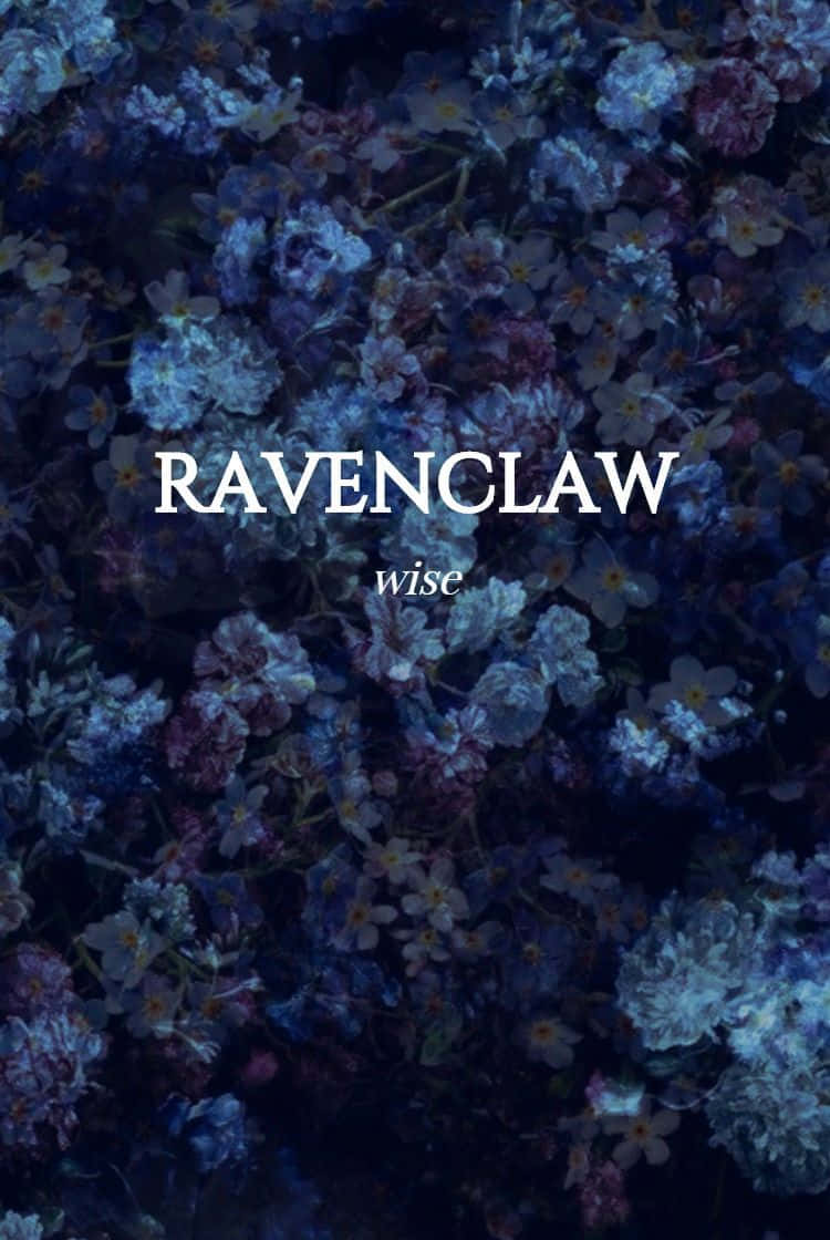 Ravenclaw wallpaper for your phone! - Ravenclaw