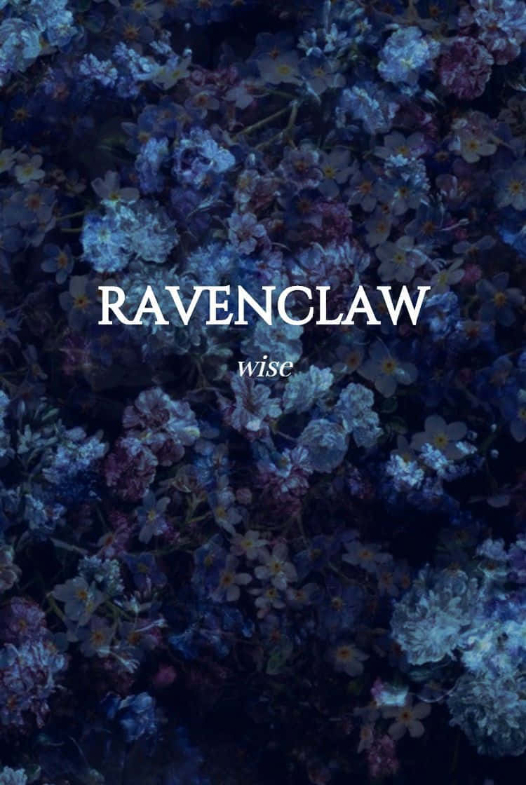 Download Ravenclaw Aesthetic Wallpaper