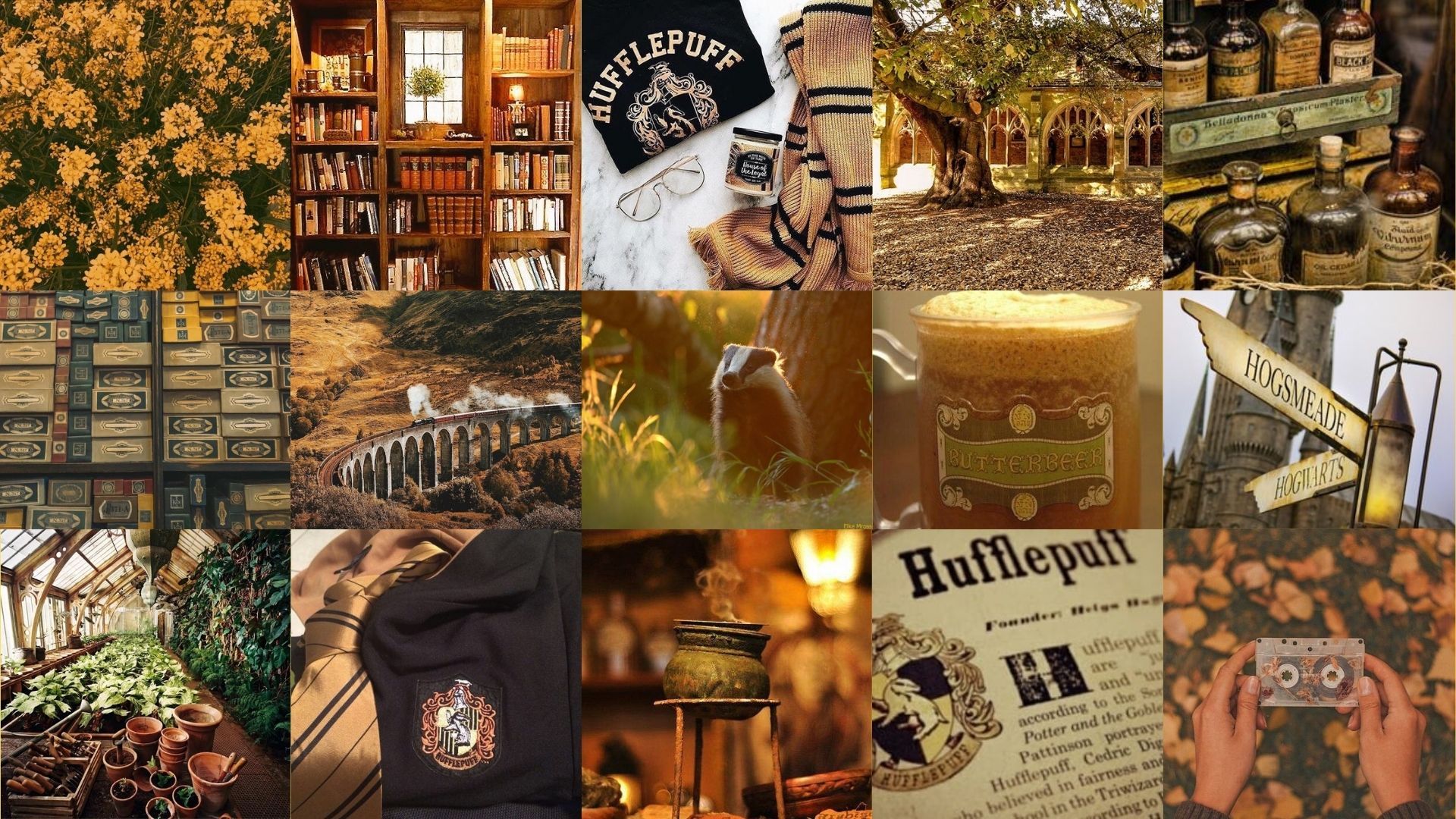 A collage of images related to the Harry Potter series, including bookshelves, a cup of tea, and a sign for Hufflepuff. - Hufflepuff