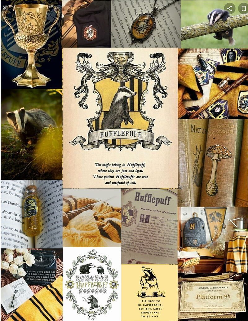A collage of pictures showing harry potter items - Hufflepuff