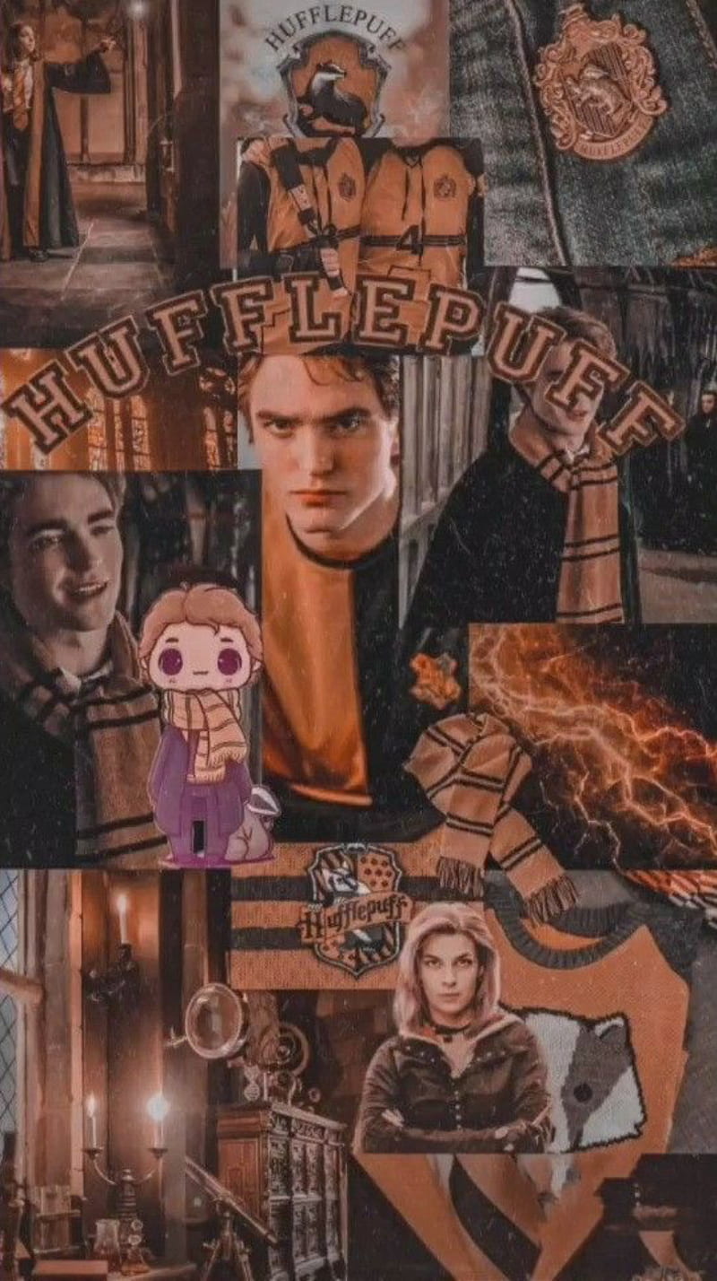 Harry potter and the order of phoenix - Hufflepuff