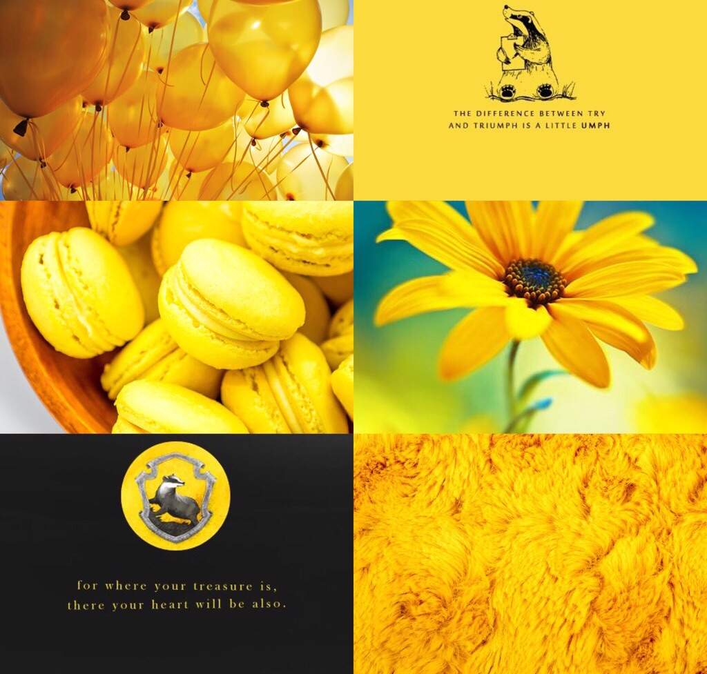 A collage of yellow images including a daisy, macarons, and a picture of Hufflepuff's badger. - Hufflepuff