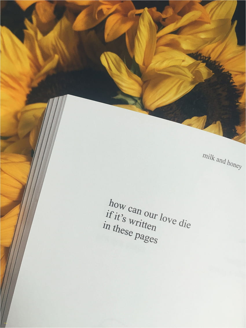 Hufflepuff Beautiful iPhone Tumblr Yellow Fresh Poetry graph Sunflower, aesthetic book pages HD phone wallpaper