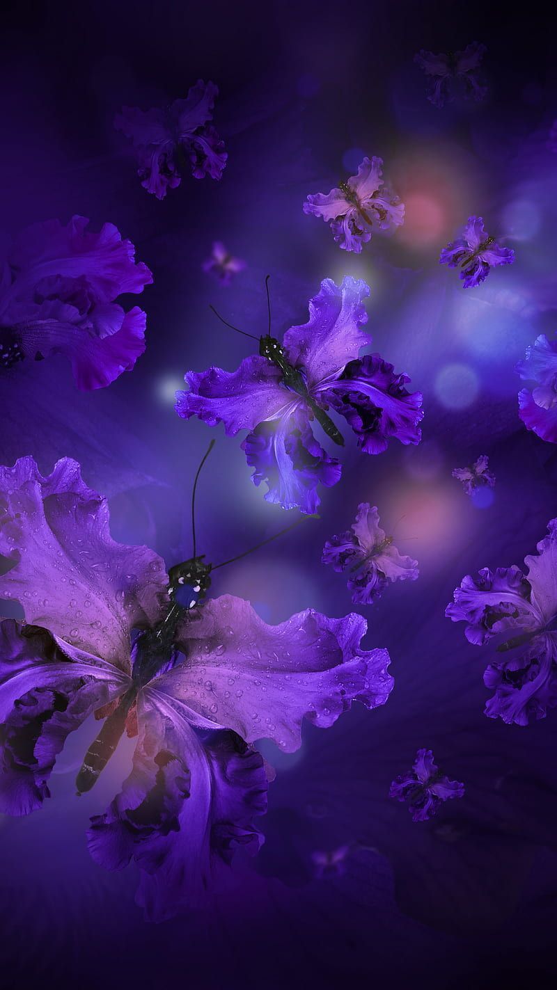 Butterflies and flowers in purple and blue colors. - Spiritual