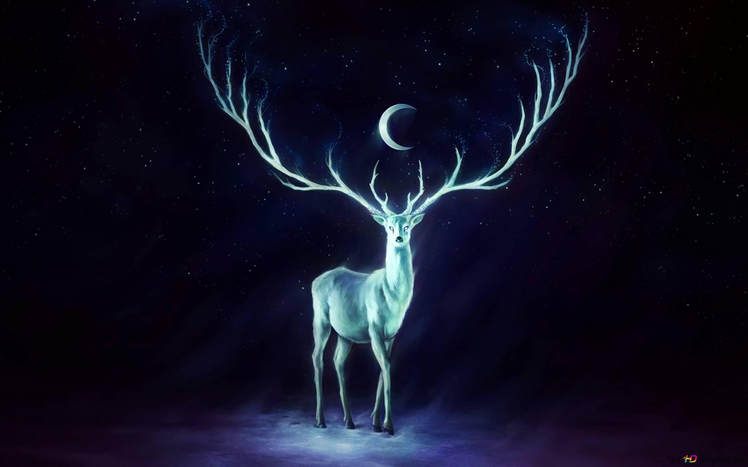 Magical Deer 2K wallpaper download