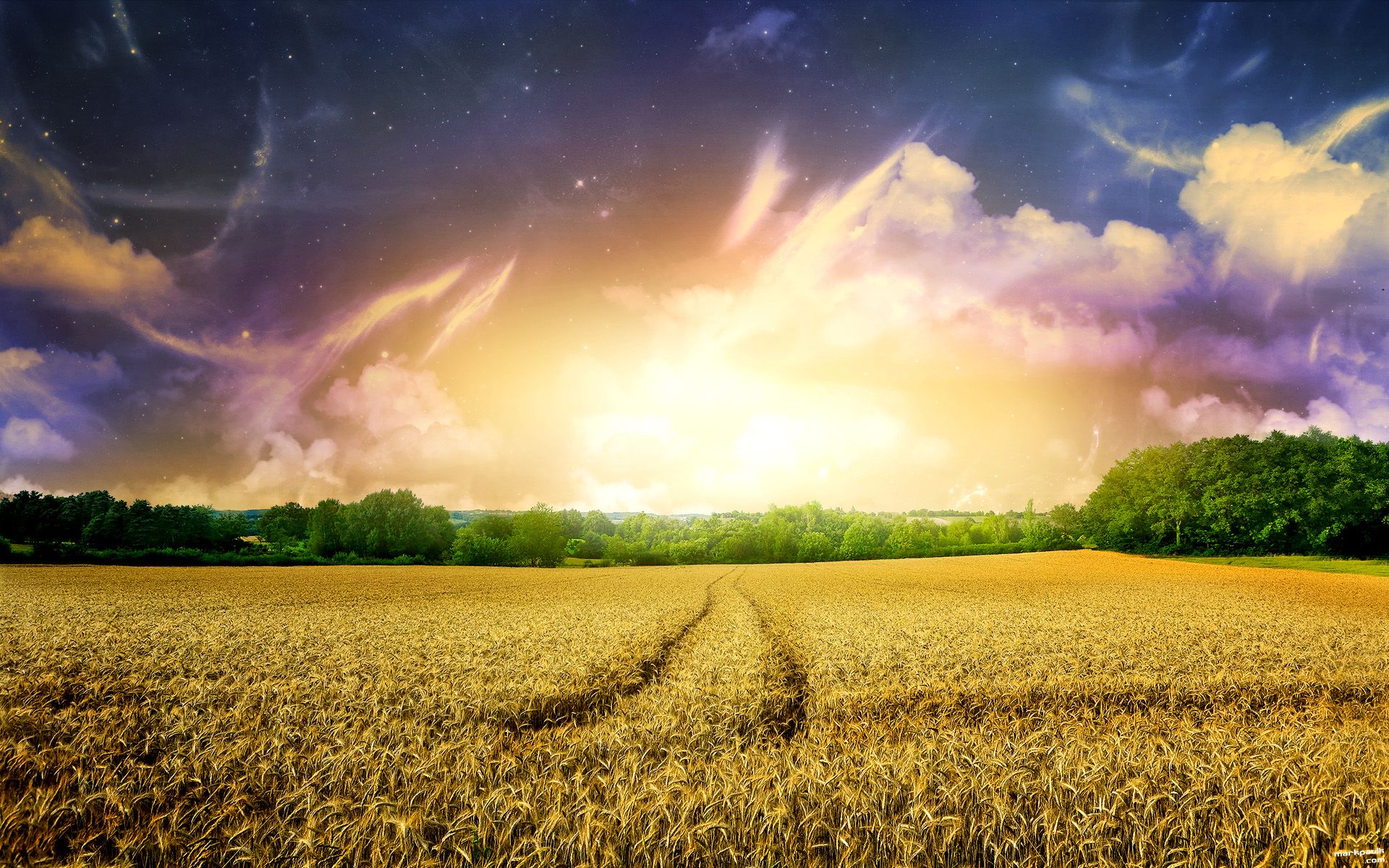 Magic Field desktop PC and Mac wallpaper