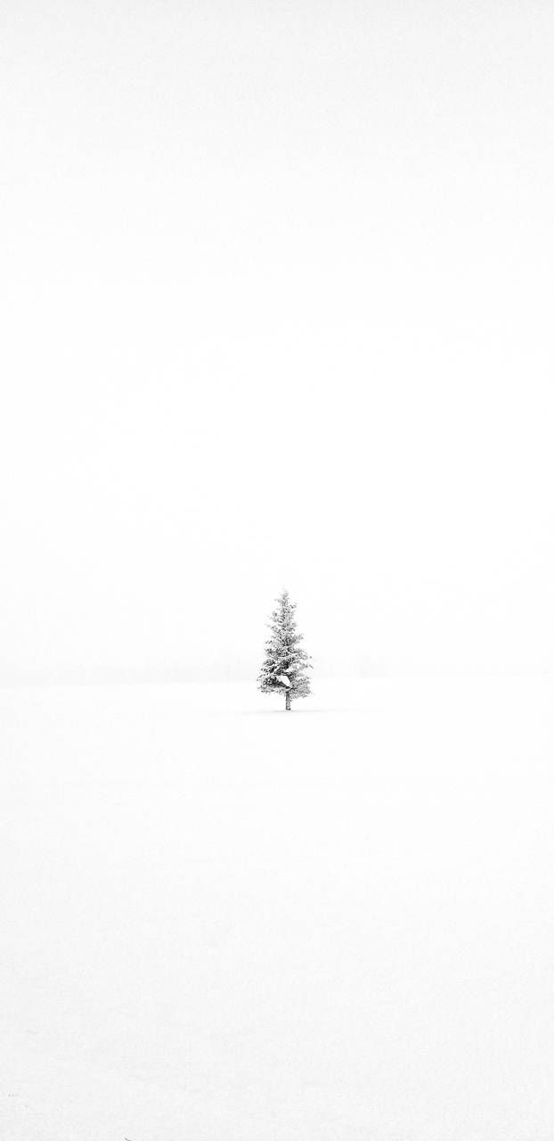 A single tree in the middle of a snowy field - Winter