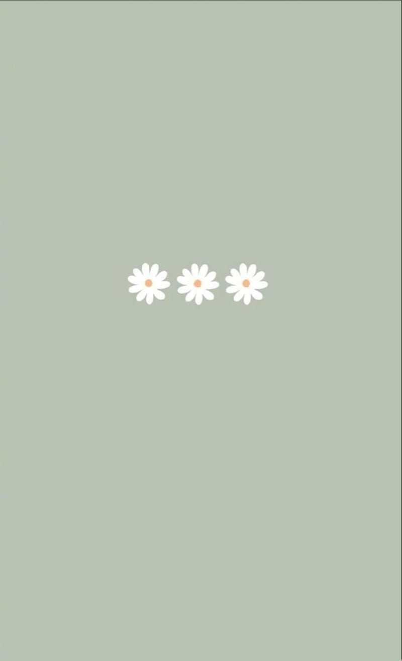 A poster of three daisies on green background - Spring