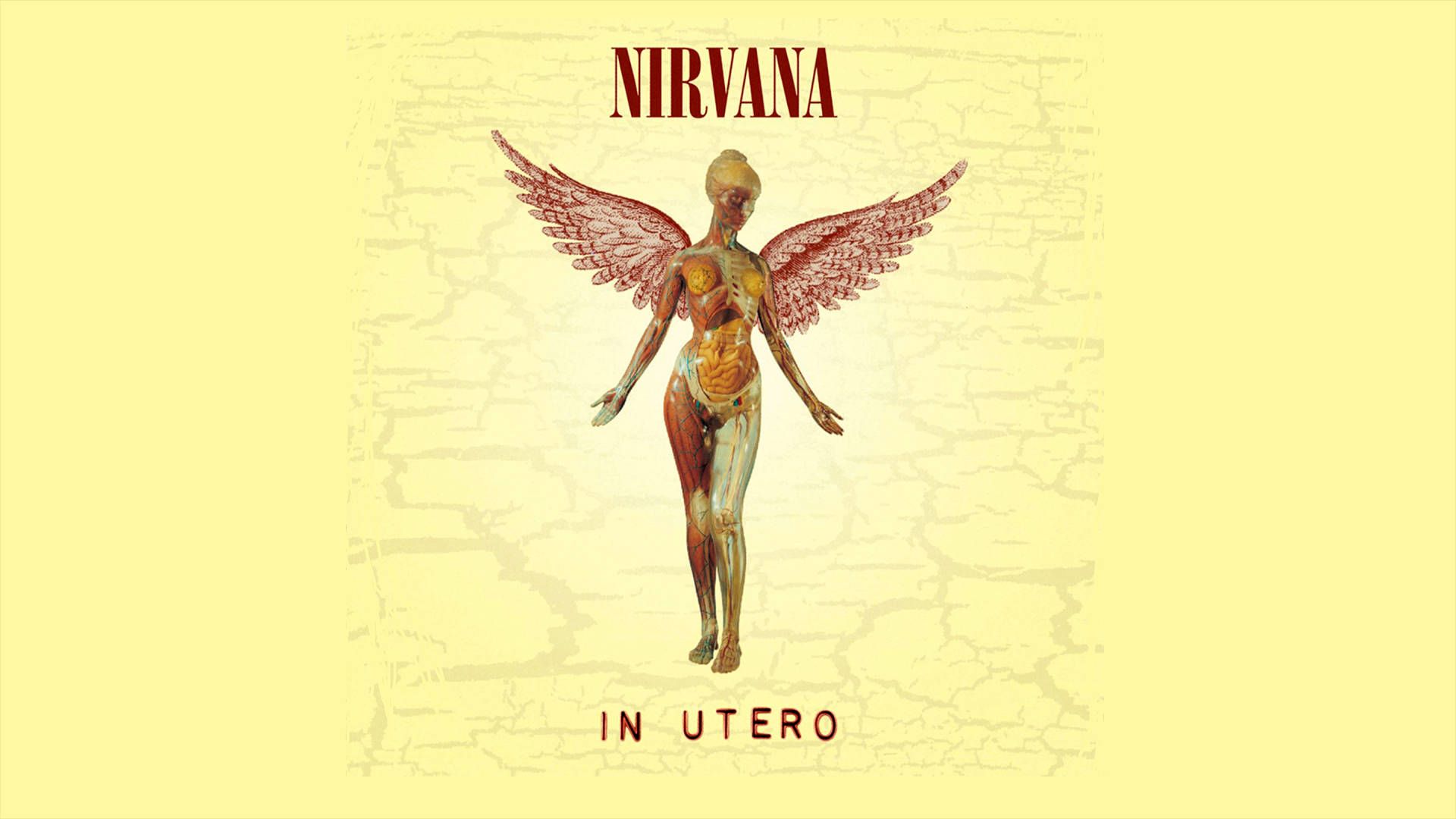 Download In Utero Album Cover Nirvana 4k Wallpaper