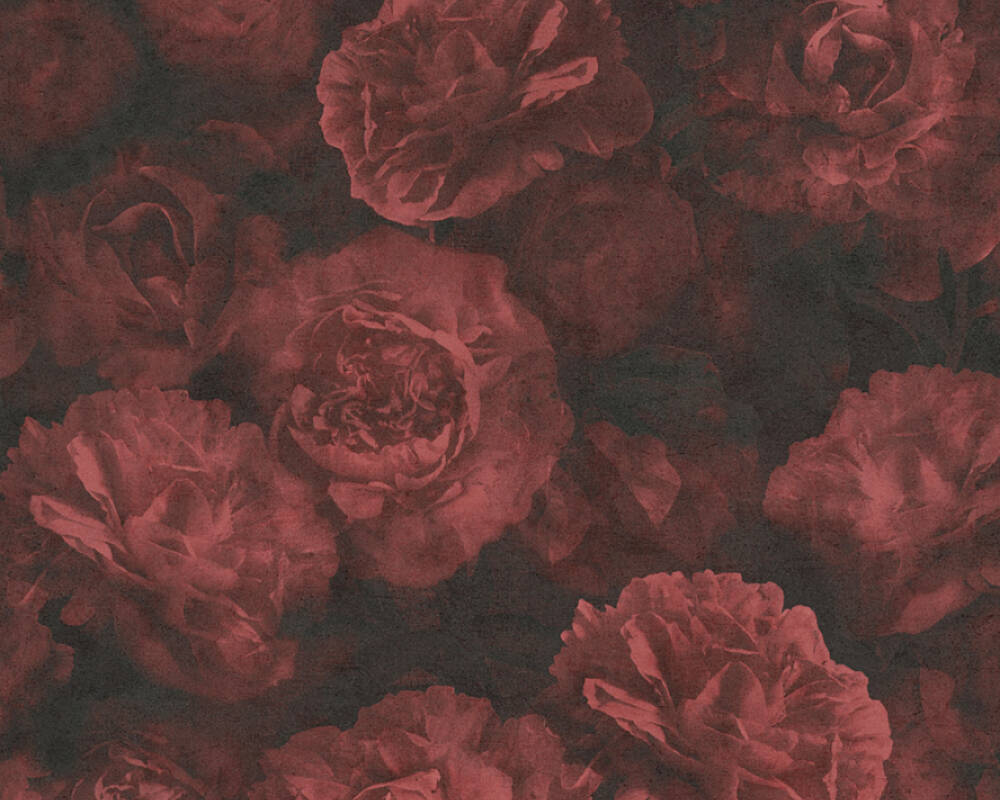 A close up of some flowers on the ground - Dark red