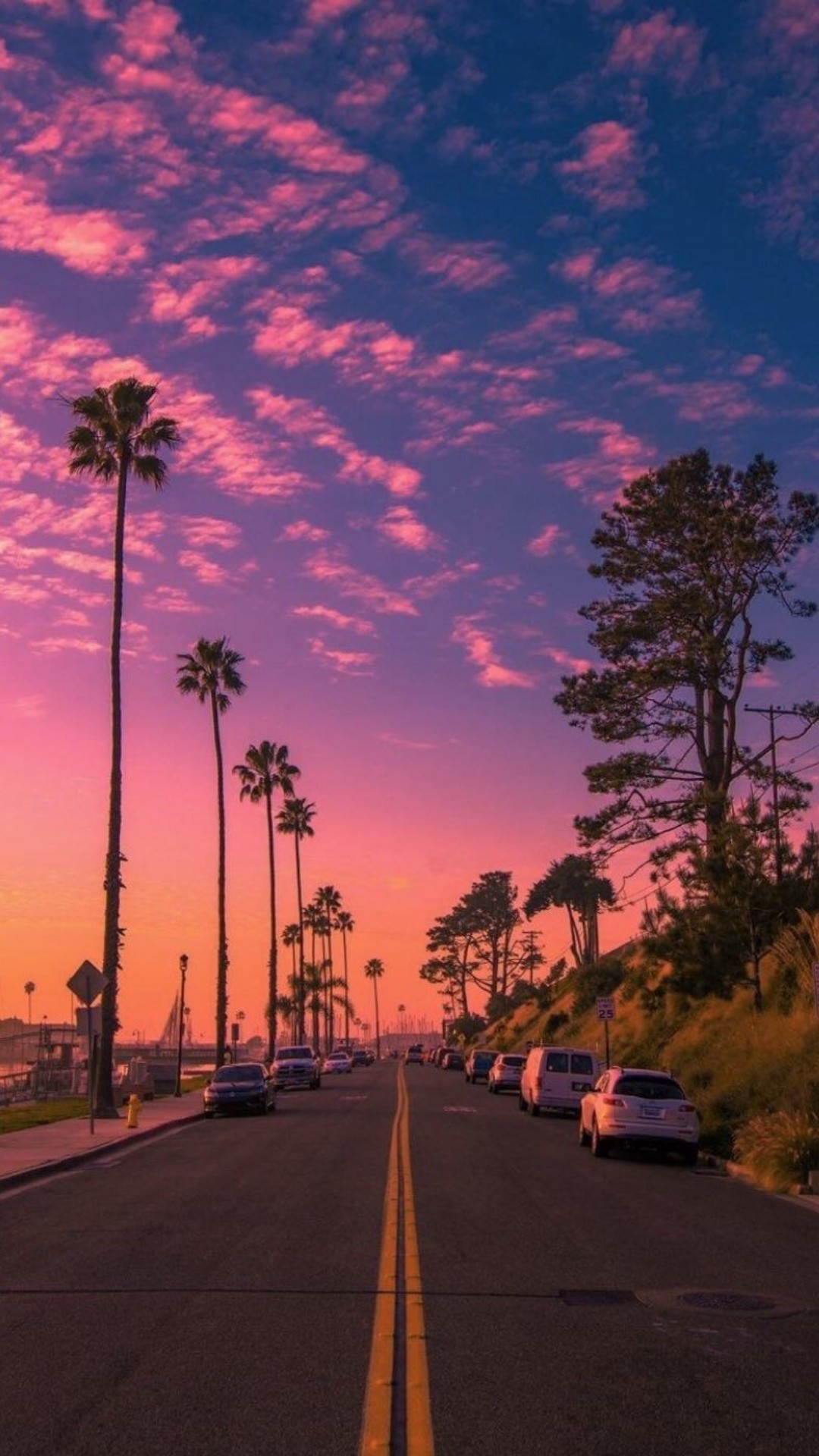A beautiful sunset over a street lined with palm trees. - Sunset