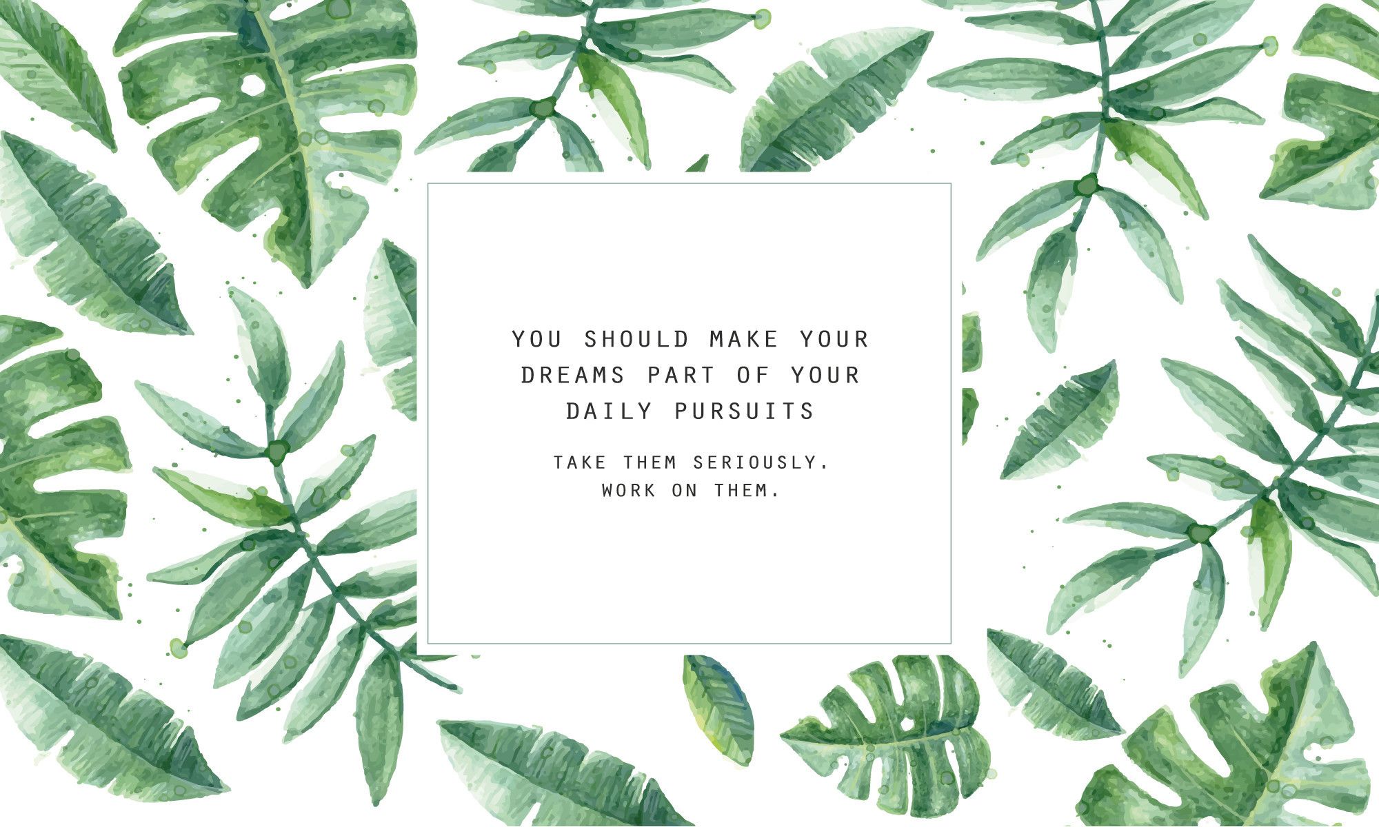 You should make your dreams part of your daily pursuits. Take them seriously. Work on them. - Leaves, plants, quotes, tropical