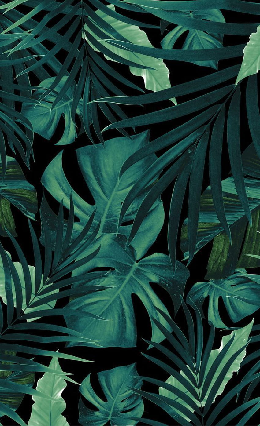 IPhone wallpaper with a black background and green tropical leaves - Leaves, tropical, jungle