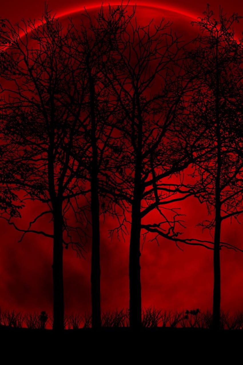 Trees, sky, eclipse, night, Blood Aesthetic HD phone wallpaper