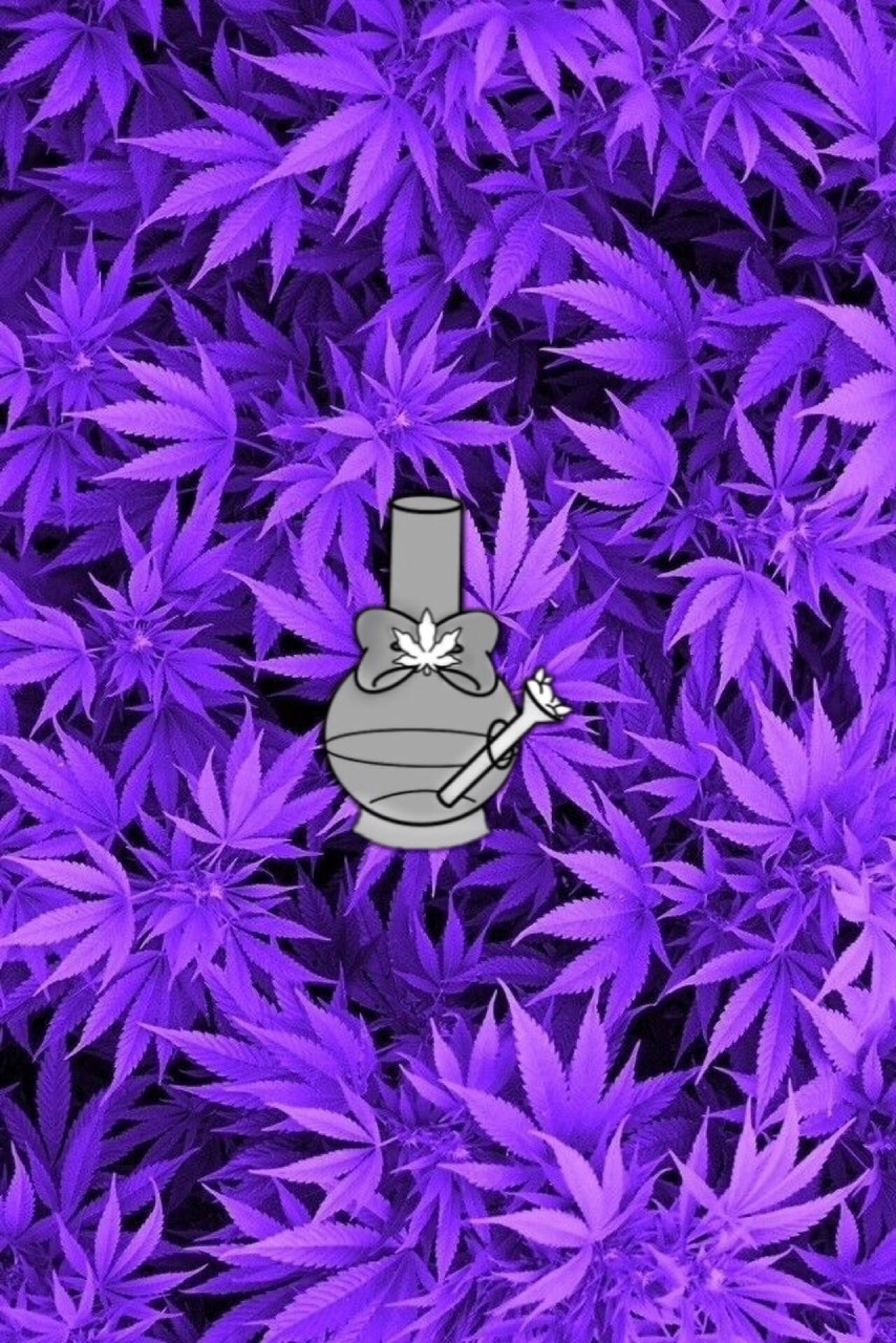 A purple marijuana plant with an object on top - Weed