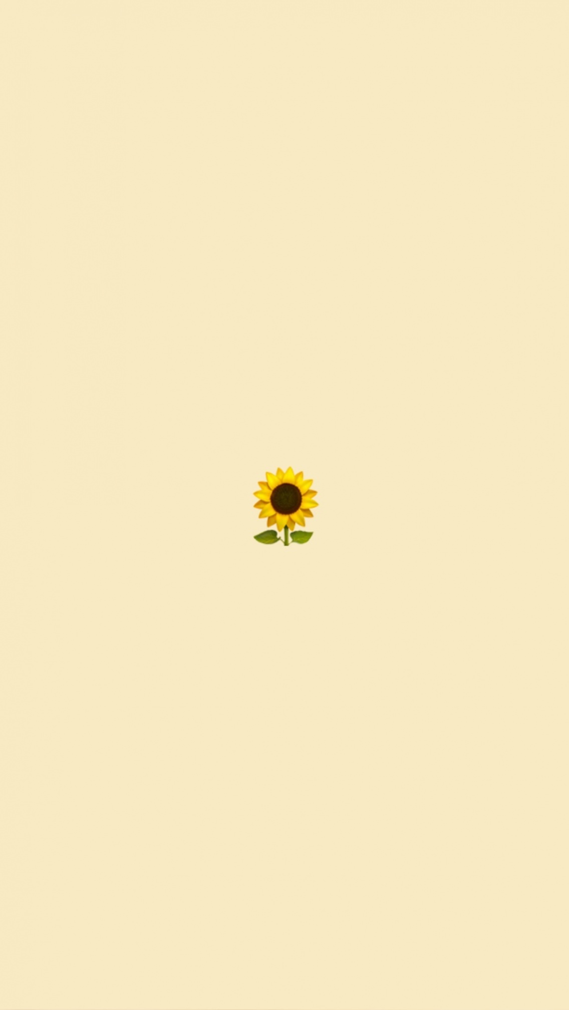 A sunflower is in the middle of an empty room - VSCO
