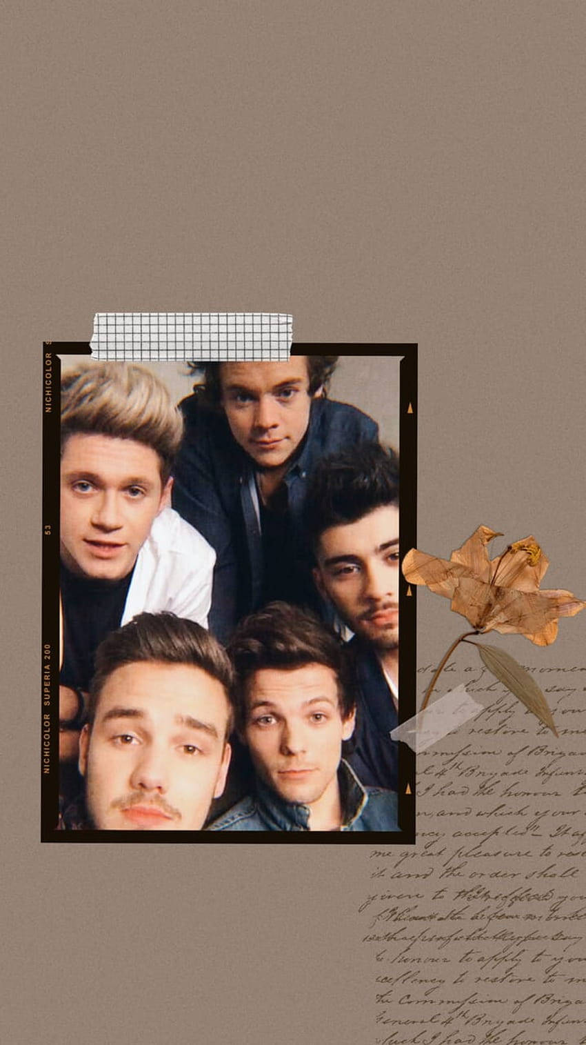 Download One Direction Aesthetic Pressed Flower Wallpaper