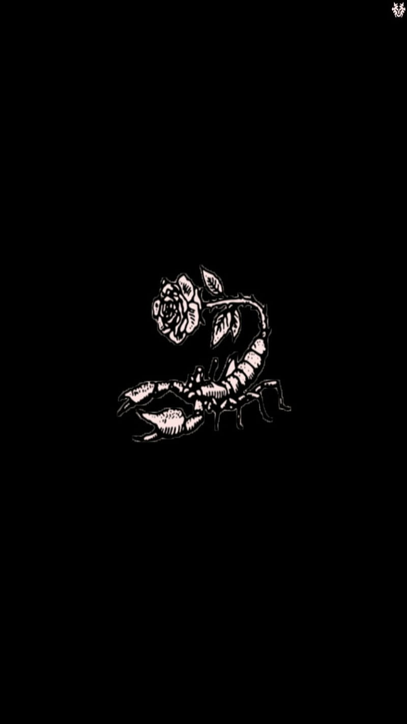 Scorpion Flower, designs, drawing, edits, roses, zodiac, HD phone wallpaper