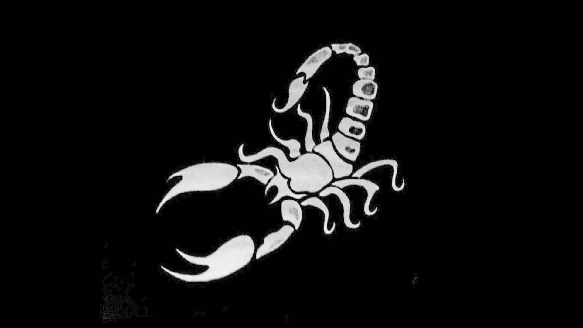 A scorpion is shown in black and white. - Scorpio