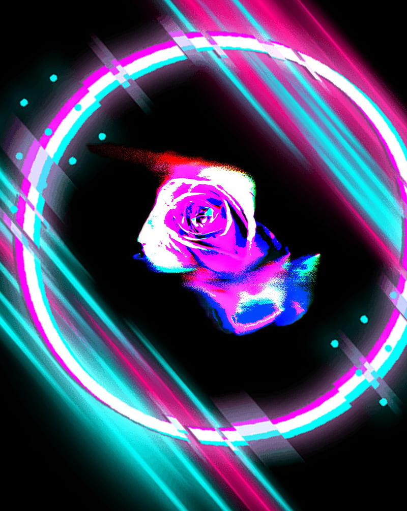 RoseEdit black, glitch, rose, HD phone wallpaper