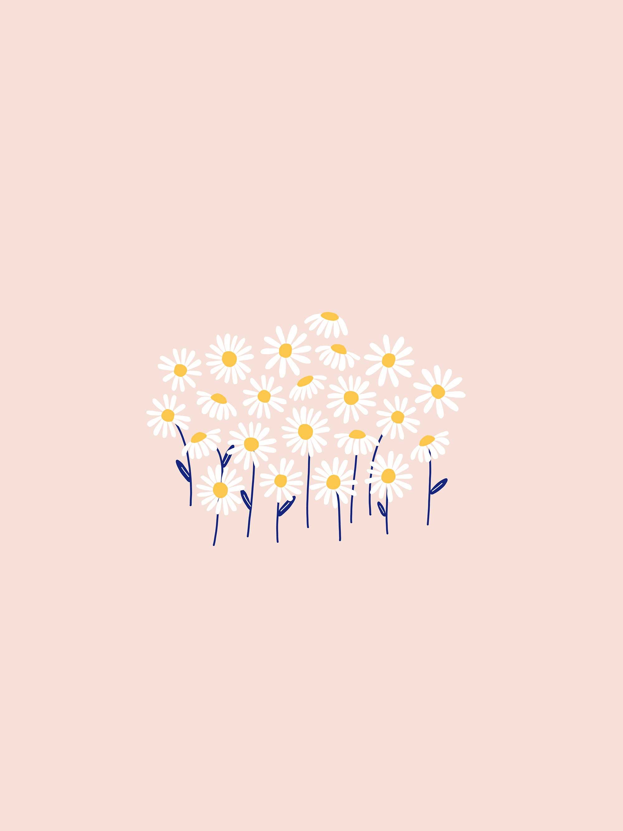 A phone wallpaper of a field of daisies on a pink background - Cute, doodles, pretty, couple, May, daisy