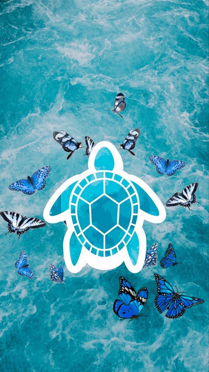 A turtle is floating in the ocean with butterflies - Sea turtle, turtle
